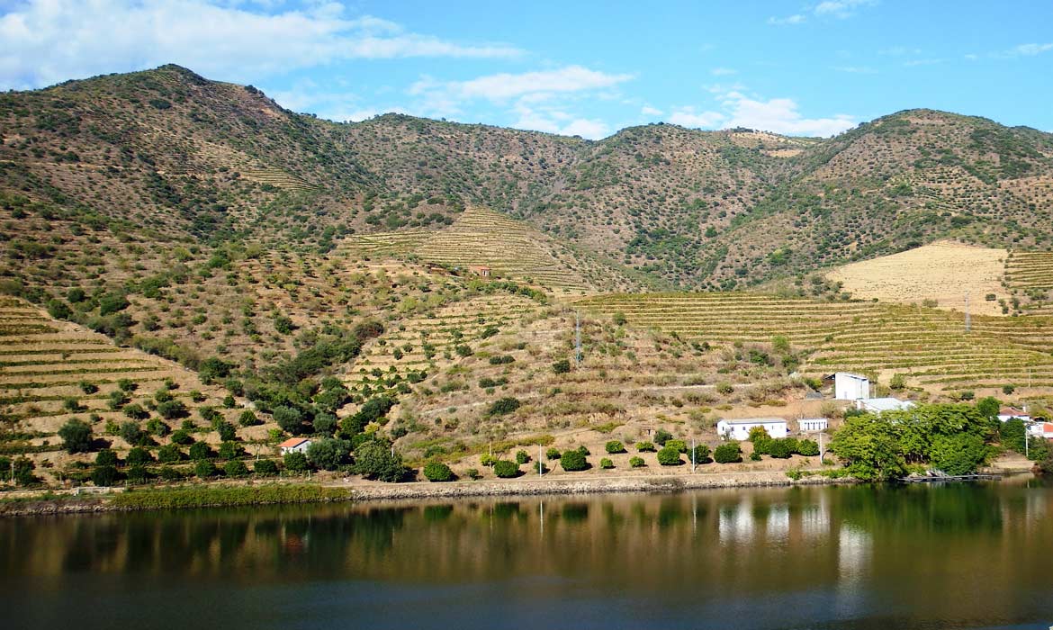 Vale do Douro