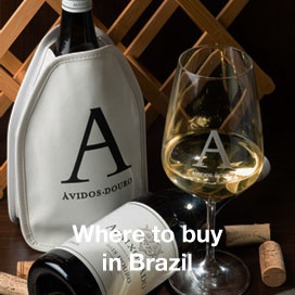 Vinhos Brasil